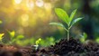 © WITTAYA  ANGMUJCHA - Cooperation in reducing carbon dioxide