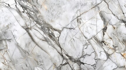 Wall Mural - The high resolution white marble texture features prominent gray veins running through it