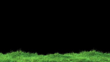 Wall Mural - grass wind noise loop on alpha channel. element footage place on footage or background and easier to