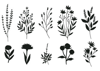  Hand Drawn Flower silhouette. 