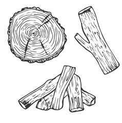 Wooden logs and twigs sketch on white background. Vector illustration of timber and wood stump. Firewood hand drawing line sketch