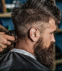 Wall Mural - Hipster client getting haircutthe back of the head. Hands of barber with hair clipper, close up. Haircut concept. Man visiting hairstylist in barbershop. Barber works with hair clipper