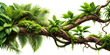 © Thanawat - twisted jungle branch growing plants on a transparent background