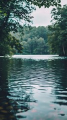 Wall Mural - Calm lake surrounded by green trees