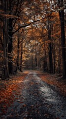 Wall Mural - A winding path through a forest with autumn leaves