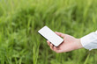 © wichayada - Modern Farmer Using Smartphone Technology in Green Field for Efficient Farming Practices and Crop Management