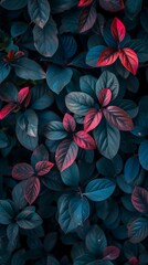 Wall Mural - A close-up view of vibrant leaves in a captivating shade of teal and crimson