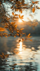 Wall Mural - Autumn leaves hang over a calm river at sunset