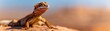 © auc - close-up portrait of a curious bearded dragon lizard on a rock with a blurred desert background - sunlit reptile with a warm, friendly expression.