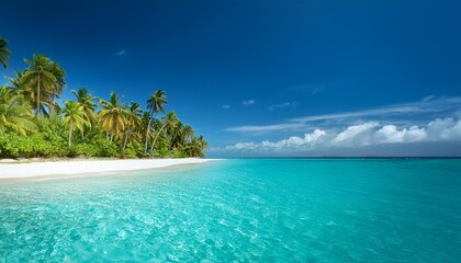 Poster - tropical beach in the ocean with palms, white sand and turquoise water