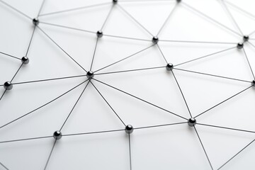 Wall Mural - Abstract technology communication network with black dots and lines on white background