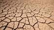 © mischenko - Cracked dry earth soil surface. Nature environment ground drought, desert land heat, climate change and global warming, hot summer weather