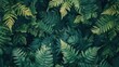 © PJ Gallery - Green Fern Texture