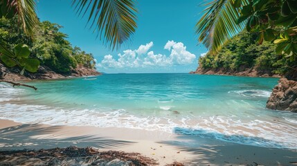 Wall Mural - Breathtaking Tropical Beach with Palm Trees and Turquoise Waters