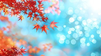 Canvas Print - Autumn Leaves Against a Blue Sky