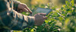 © Suriyo - Close-up of a farmers hands using a tablet for pest control