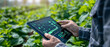 © Suriyo - Close-up view of a tablet displaying agricultural analytics