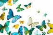 © mariam - butterflies in blue green and yellow hues