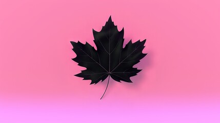 Sticker -   Black leaf on pink background with shadows of leaves on both sides