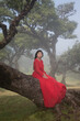 © Milou Dirks - Asian young woman in red dress sitting on branch of giant old laurisilva tree on misty morning, Fanal Forest, Madeira island, Portugal