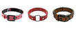 © Malika - Stylish Leather Collars Isolated on Transparent Background