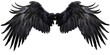 © CozyNessAI - A pair of black feather wings on a transparent, isolated background. Cut out or PNG.