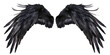 © CozyNessAI - A pair of black feather wings on a transparent, isolated background. Cut out or PNG.
