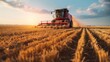 © acnaleksy - Modern agricultural machinery working on a vast field, harvesting crops