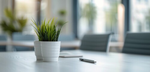 Sticker - White Potted Plant on Table