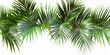 © PNGPack - Green palm leaves realistic corner layout on transparent backgrounds 3d illustrations png