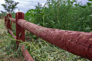 Rustic Wooden Fence with Greenery in Natural Landscape