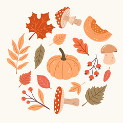 Wall Mural - Vector set of autumn leaves, mushrooms, plants and pumpkin 