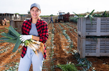 Wall Mural - Positive young girl engaged in seasonal agricultural works in organic vegetable farm, holding harvested leek stalks on field..