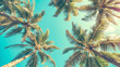 © Karimah - Looking up at blue sky and palm trees, view from below, vintage style, tropical beach and summer background, travel concept