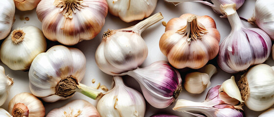 Poster - garlic pattern background watercolor style3