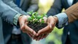 © Sea - Business hands holding green plants together are the symbol of green business company, agriculture and collaboration in a green business, Ecosystem and Organization Development Cooperation