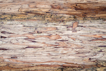 Wall Mural - Wood beam engineered for extra strength, closeup detail, as a construction detail background
