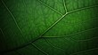 © sevector - ecology green environment