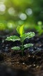 © CoreVisuals - Applying fertilizers to balance soil acidity in agriculture