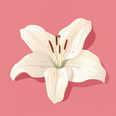 Poster - Elegant white lily illustration