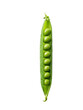 © Linggakun - Fresh green bean pods isolated on transparent background. Design elements