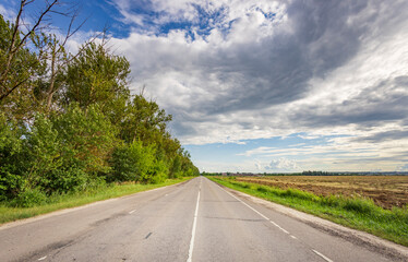 A road with a few trees on the side and a cloudy sky