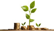 © NightTampa - Plant growing on stacked coins symbolizes financial growth, prosperity, isolated on transparent background