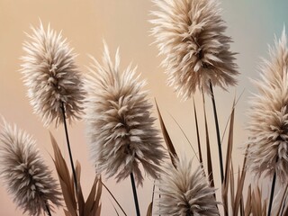 Wall Mural - Fluffy beige flowers on a pastel boho backdrop. Abstract Pampas grass in 3D rendering. Calm wallpaper. High contrast