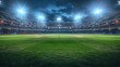 © Kind Bee Studio - Empty Stadium Night Game.