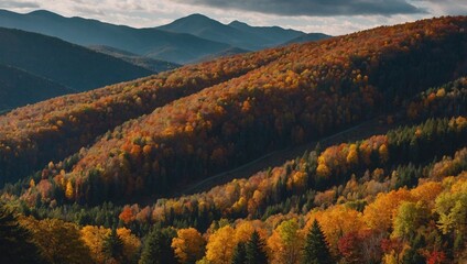 Wall Mural - Gorgeous autumn mountain vista - rich foliage, high contrast