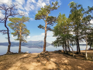 Wall Mural - Beautiful lake