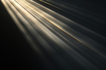 Poster - Transparent Dark sunlight reflections lighting backgrounds abstract.