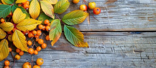 Aufkleber - An attractive and tempting autumn composition featuring yellow and green leaves mountain ash berries set against aged wooden boards with vibrant colors Eye catching copy space image