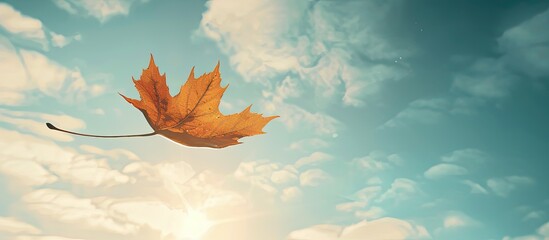 Poster - Autumnal atmosphere with a sunlit sky showing a solitary dry maple leaf drifting in the air offering space for copy in the image